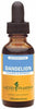 Buy Herb Pharm Dandelion Alcohol Free Liquid 29.6 ml 1 fl oz Online Australia Ausherb
